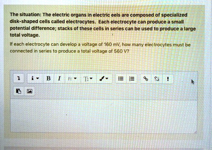 How Anatomy and Specialized Electric Organs of Eels Create Shocks